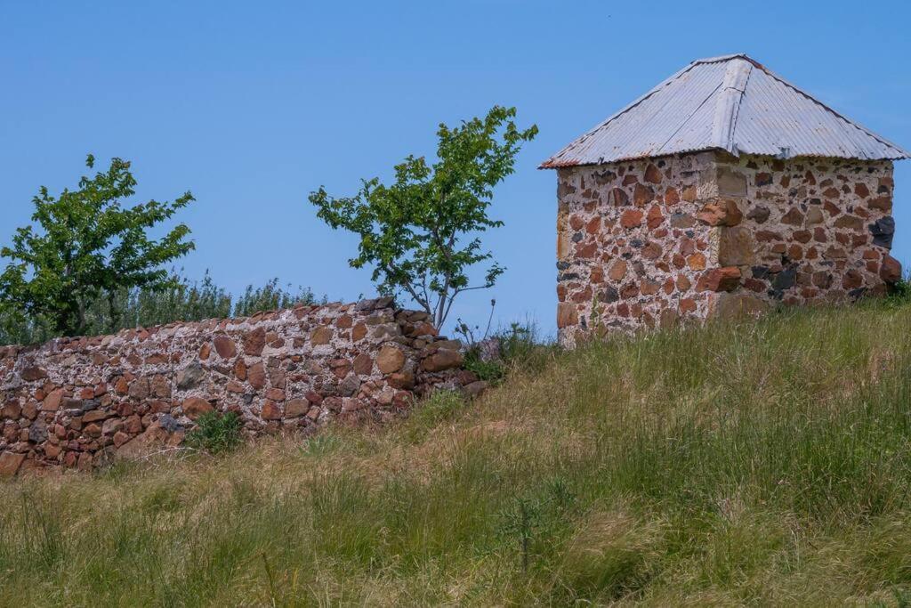 Villa *Newly Relisted* Coach House At Lisdillon Vineyard Little Swanport Esterno foto
