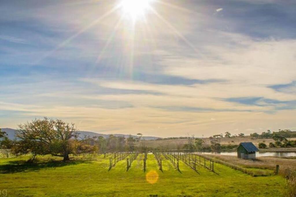 Villa *Newly Relisted* Coach House At Lisdillon Vineyard Little Swanport Esterno foto