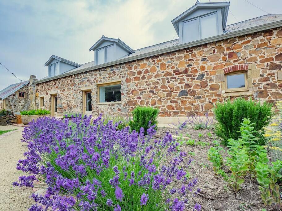 Villa *Newly Relisted* Coach House At Lisdillon Vineyard Little Swanport Esterno foto